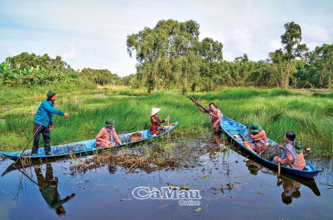 Trải nghiệm rừng U Minh Hạ