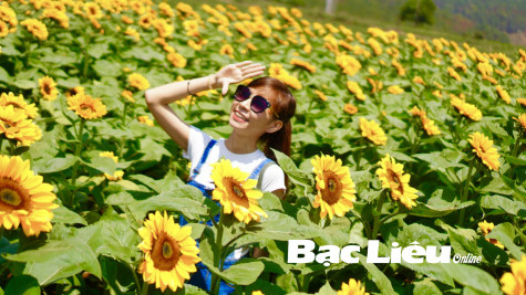 Nở rộ các điểm check-in ở Bạc Liêu