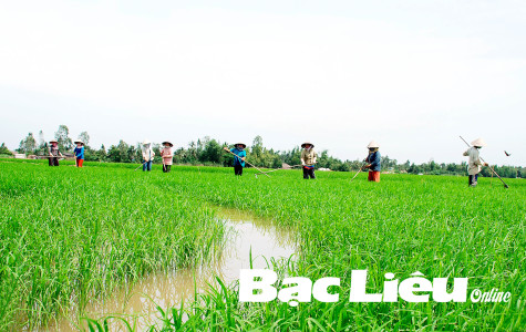 Thực hiện Nghị quyết số 120/NQ-CP: Vì một Đồng bằng sông Cửu Long phát triển nhanh và bền vững