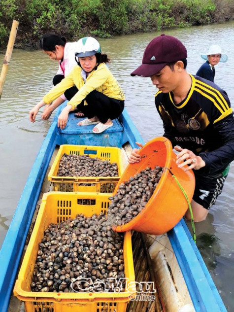 Khát vọng và khát vốn