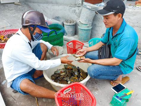 Lao động việc làm ở nông thôn cần hướng đi bền vững