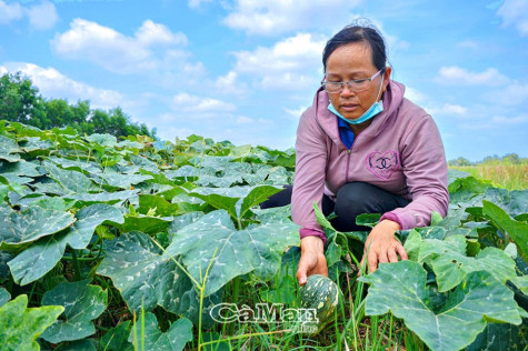 Thích ứng với thiên tai