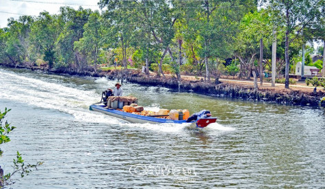 Lưu giữ nét đẹp văn hoá đình Tân Ðịnh