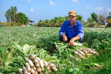 Nỗ lực thay đổi cuộc sống