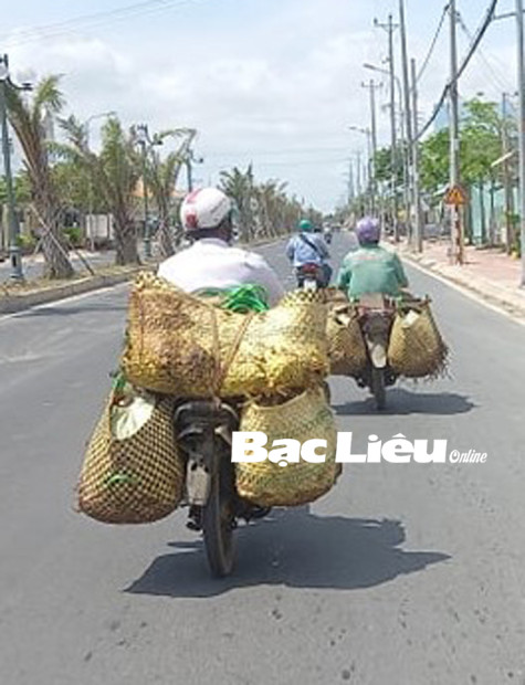 Xe máy “5 không” vẫn ung dung trên đường