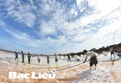 Xứ Bạc Liêu Ba Thắc muối ngon
