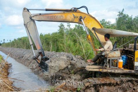 Sản xuất thích ứng hạn, mặn