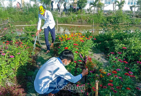 Vườn hoa, ao cá