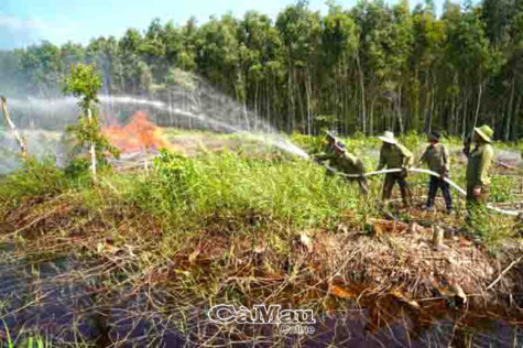 Quyết tâm giữ rừng