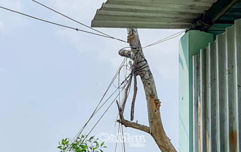 Mất an toàn từ điện chia hơi