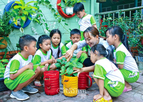 Thiên nhiên xanh trong trường học