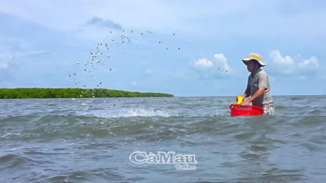 Hỗ trợ nông dân phát triển kinh tế