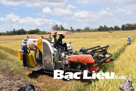 TP. Bạc Liêu: Đẩy mạnh phát triển kinh tế trong quý 2