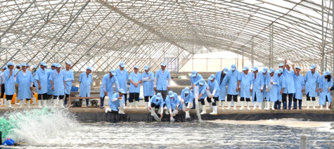 Một trang đời mở ra