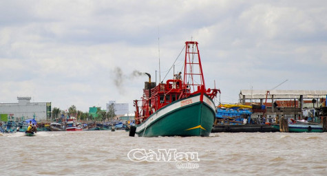 Hướng tới đô thị ven biển hiện đại