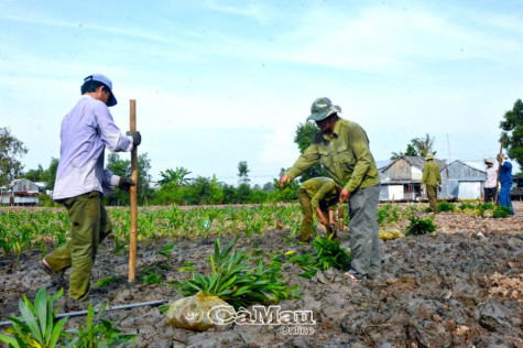 Nhanh chóng chuyển đổi để thích ứng