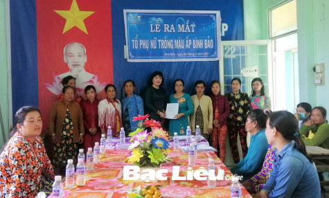Hội LHPN xã Vĩnh Phú Tây: Nhiều cách làm hay để tập hợp, thu hút hội viên