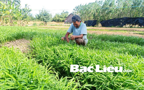 Ông Lâm Nghiêm:​ Ổn định cuộc sống nhờ đồng vốn hỗ trợ