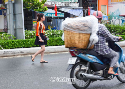 Hơn 27% tai nạn giao thông do người đi bộ