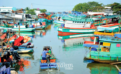 Kịp thời ứng phó thiên tai