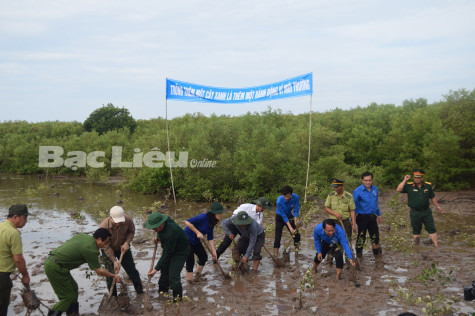 Bạc Liêu: Thực hiện tốt các giải pháp ứng phó với biến đổi khí hậu