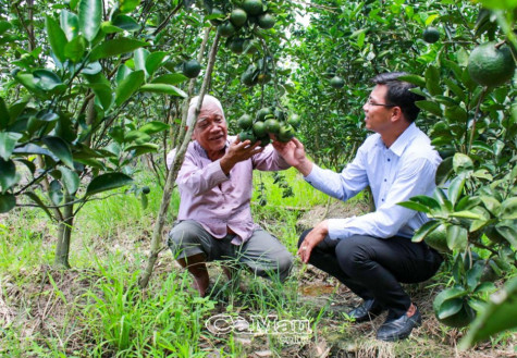 Tiến đến sản xuất  nông nghiệp hữu cơ