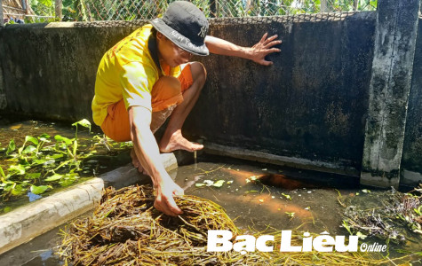 Thanh niên Võ Đức Liêm: Ổn định kinh tế gia đình nhờ nuôi rắn ri cá