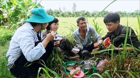 Thương sao bữa cơm mùa gặt