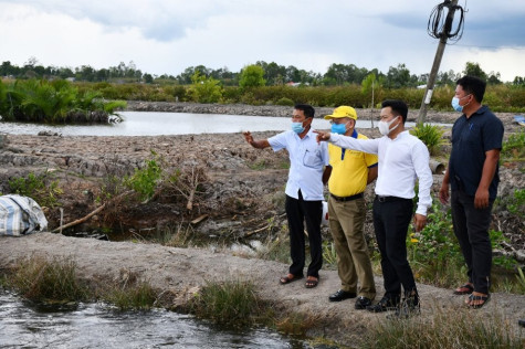 Chủ tịch UBND tỉnh Lê Quân khảo sát mô hình hợp tác sản xuất tôm – lúa tại huyện Thới Bình