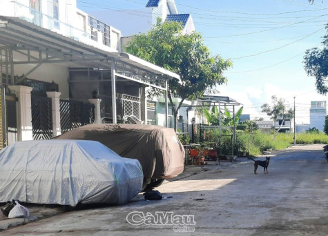 Chó dại cắn người tại xã Phú Thuận