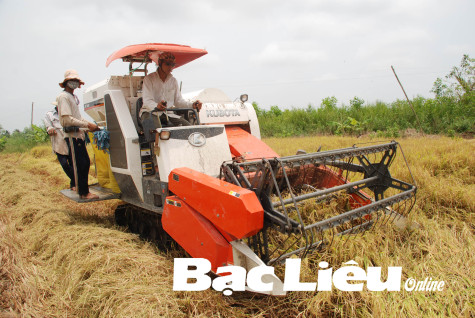 Tái cơ cấu sản xuất nông nghiệp: Nhiều thành tựu, lắm thách thức