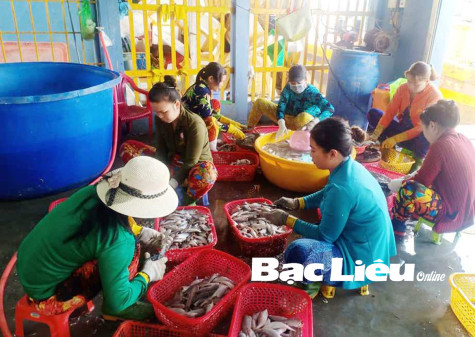 Nghề xẻ khô -Tạo thu nhập ổn định​ cho nhiều lao động nữ