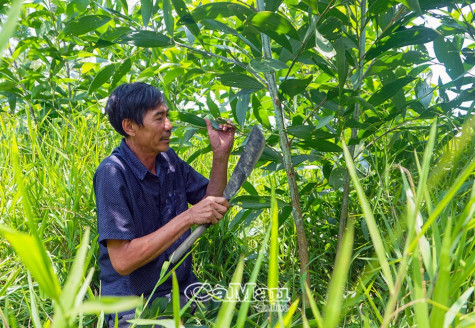 Người về từ thời chiến