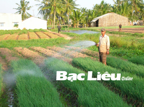 TP. Bạc Liêu: Tiếp tục đẩy mạnh tái cơ cấu sản xuất nông nghiệp