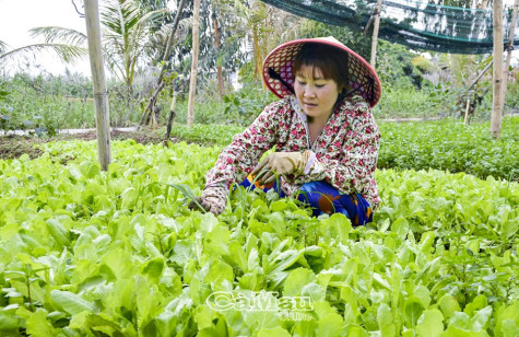 Xây dựng gia đình ấm no, hạnh phúc