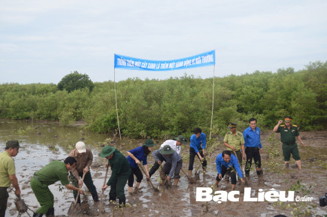 Chung tay phục hồi hệ sinh thái