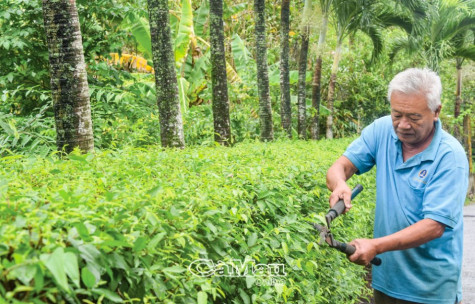 Nông thôn mới Thới Bình: “Nước đến chân”