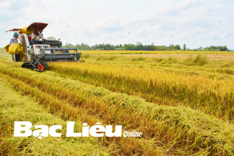 Xây dựng nền nông nghiệp xanh, sạch và bền vững