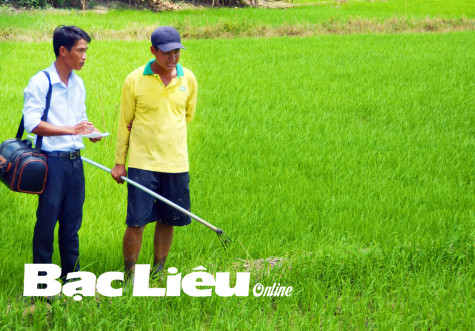 Những nhà báo không thẻ... ở huyện