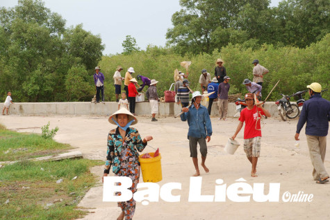 Bạc Liêu có 25 xã được gia hạn thẻ BHYT đến hết ngày 30/6/2021