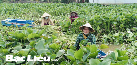 Lời giải nào để nông dân không phải ly hương?