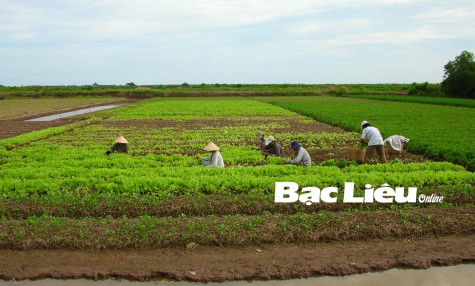 TP. Bạc Liêu: Thực hiện hiệu quả nhiệm vụ kép
