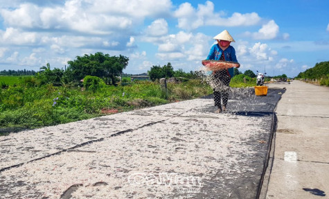 Nâng tầm sản vật địa phương