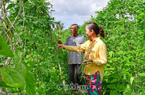 Thi đua làm giàu