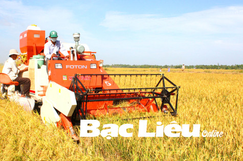 Nông nghiệp Bạc Liêu: Nhân rộng những mô hình điểm sáng
