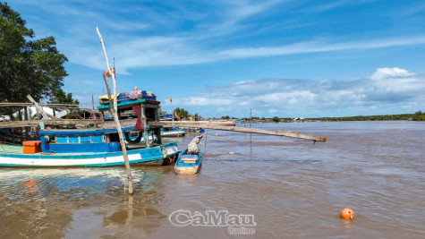 Mắm cá mào gà Ðầm Dơi hướng đến chuẩn OCOP