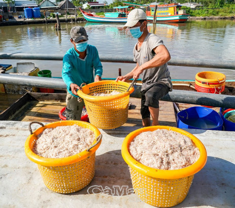 Ngư dân trúng ruốc