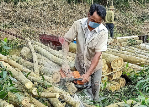 Bài toán tiêu thụ nông sản vẫn chờ đáp án