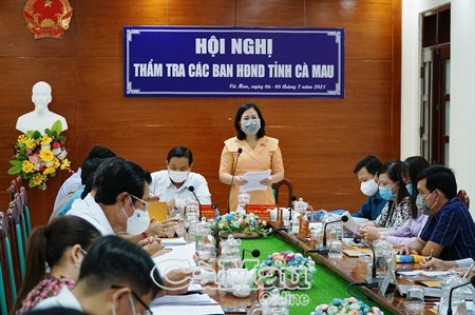 Ban Kinh tế Ngân sách thẩm tra văn bản trình Kỳ họp thứ Hai, HĐND tỉnh khóa X