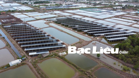 Thực hiện Nghị quyết 04 của Ban Chấp hành Đảng bộ tỉnh (khóa XVI): Phát triển năng lượng sạch gắn với yếu tố bền vững
